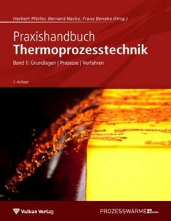 Praxishandbuch Thermoprozesstechnik